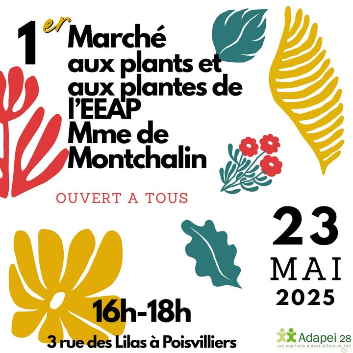 image actualités facebook