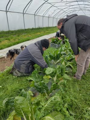 image actualités facebook